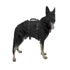 DÂY ĐAI CHUYÊN DỤNG CHO CHÓ NGHIỆP VỤ MODEL:K9 PROSERIES RAPPEL HARNESS HÃNG SX: FERNO (MỸ)