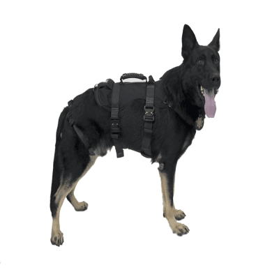 DÂY ĐAI CHUYÊN DỤNG CHO CHÓ NGHIỆP VỤ MODEL:K9 PROSERIES RAPPEL HARNESS HÃNG SX: FERNO (MỸ)