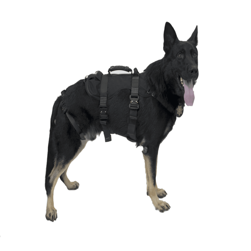 DÂY ĐAI CHUYÊN DỤNG CHO CHÓ NGHIỆP VỤ MODEL:K9 PROSERIES RAPPEL HARNESS HÃNG SX: FERNO (MỸ)