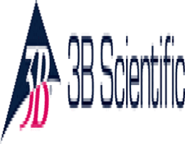 3B Scientific